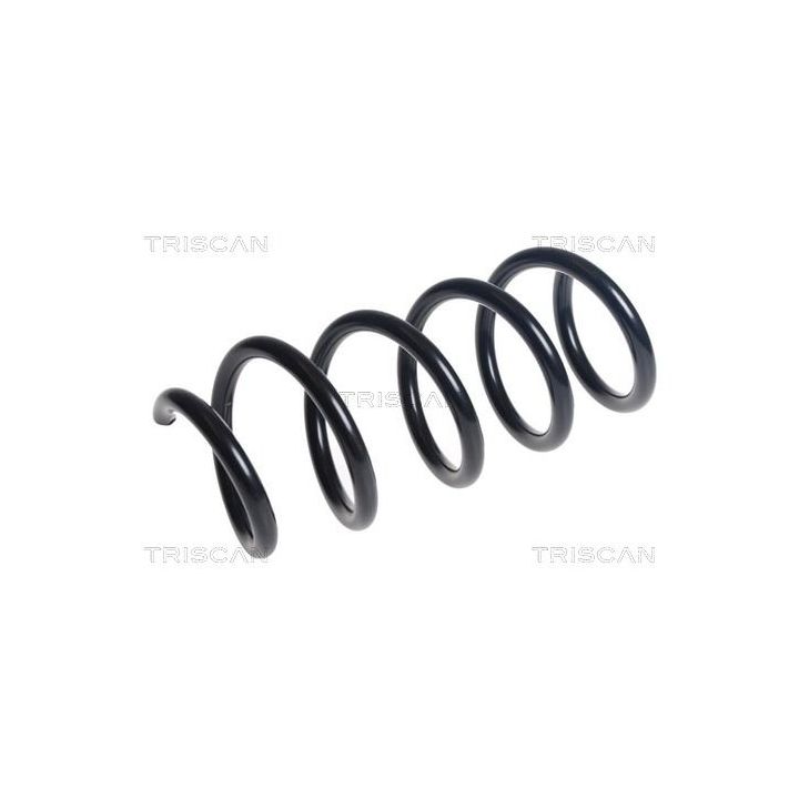 Spyruoklė TRISCAN 8750 24208