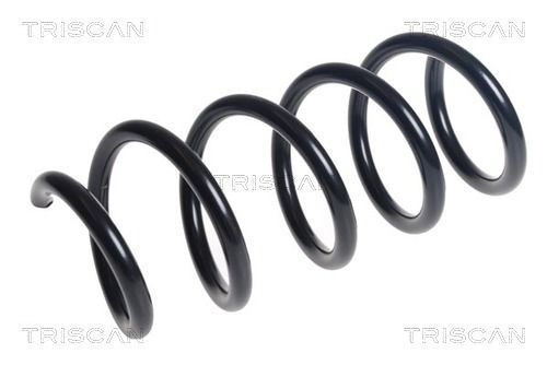 Spyruoklė TRISCAN 8750 24208