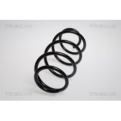 Spyruoklė TRISCAN 8750 25103