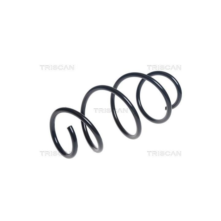 Spyruoklė TRISCAN 8750 25132
