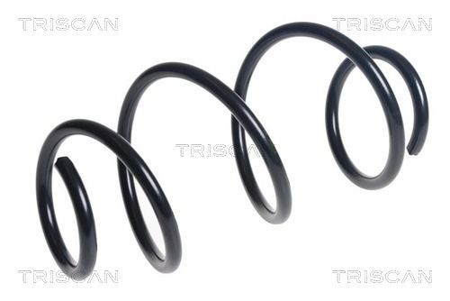 Spyruoklė TRISCAN 8750 25137