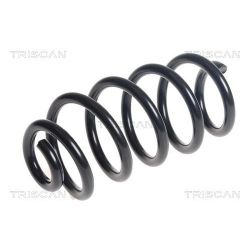 Spyruoklė TRISCAN 8750 25138