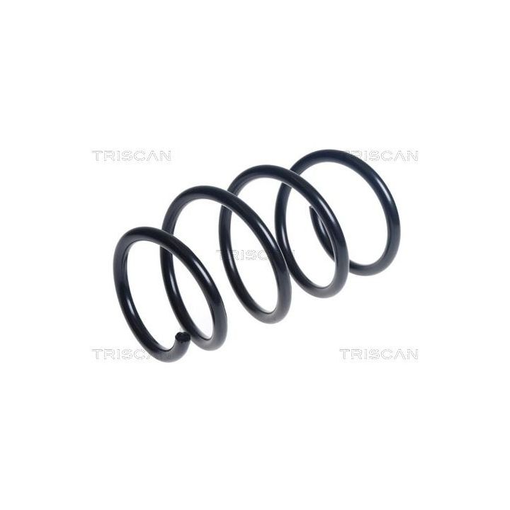 Spyruoklė TRISCAN 8750 25145