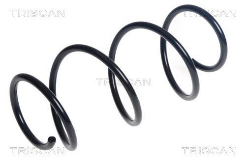 Spyruoklė TRISCAN 8750 25146