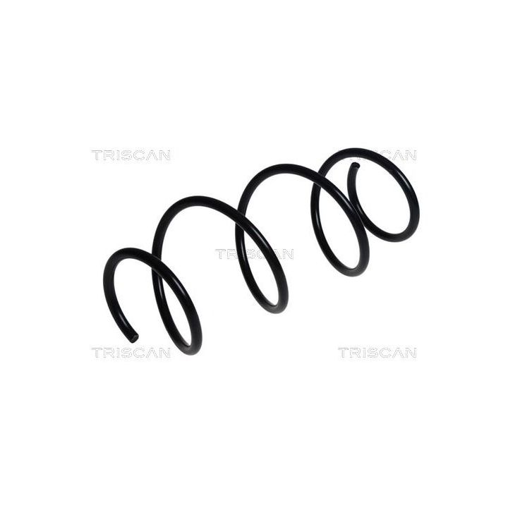 Spyruoklė TRISCAN 8750 25147