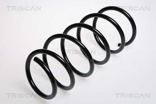 Spyruoklė TRISCAN 8750 2520