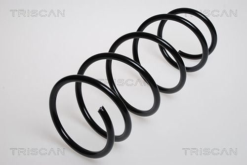 Spyruoklė TRISCAN 8750 2521