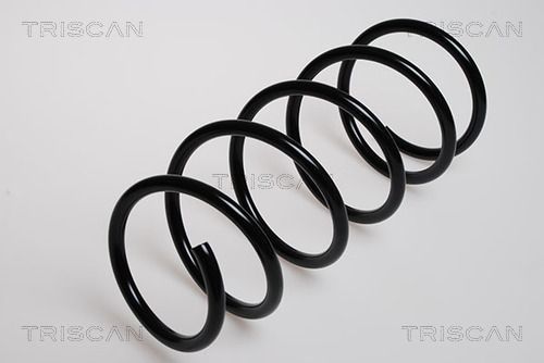 Spyruoklė TRISCAN 8750 2522