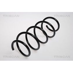 Spyruoklė TRISCAN 8750 2552