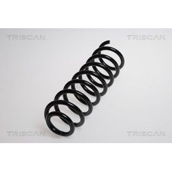 Spyruoklė TRISCAN 8750 2560