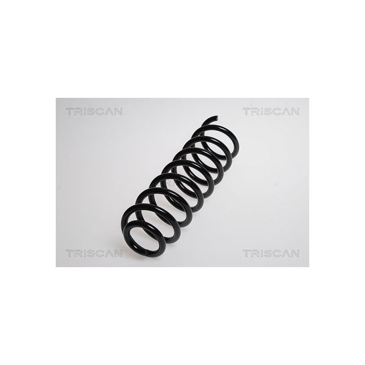 Spyruoklė TRISCAN 8750 2560