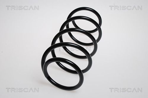 Spyruoklė TRISCAN 8750 2564