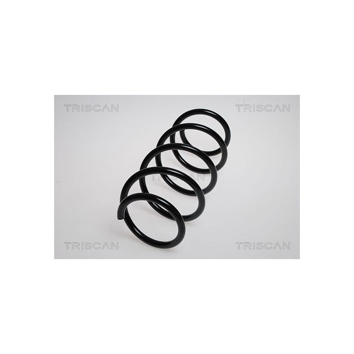 Spyruoklė TRISCAN 8750 2565