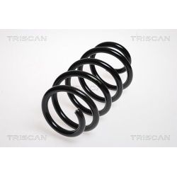 Spyruoklė TRISCAN 8750 2571