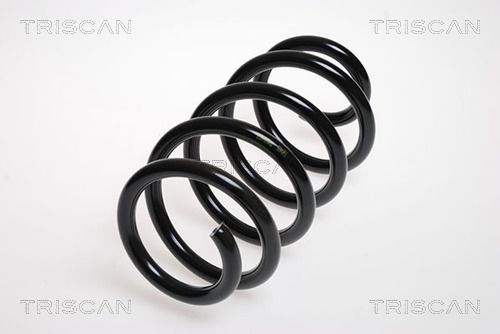 Spyruoklė TRISCAN 8750 2571