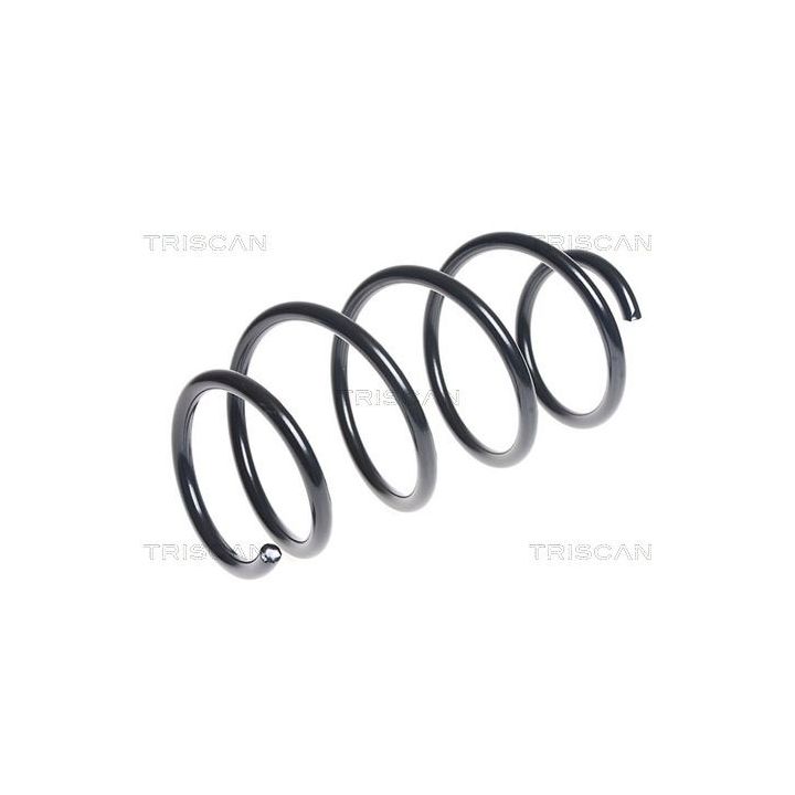 Spyruoklė TRISCAN 8750 2595