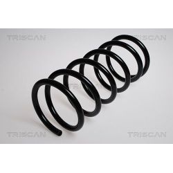 Spyruoklė TRISCAN 8750 2868