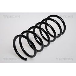 Spyruoklė TRISCAN 8750 4305