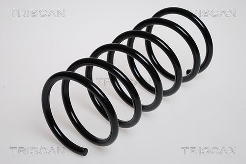 Spyruoklė TRISCAN 8750 4305