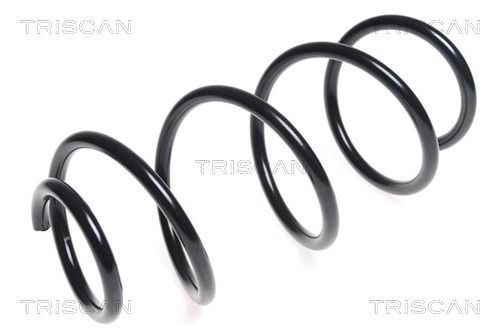 Spyruoklė TRISCAN 8750 43104