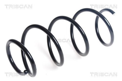 Spyruoklė TRISCAN 8750 43141