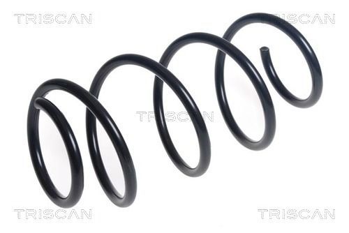 Spyruoklė TRISCAN 8750 43144