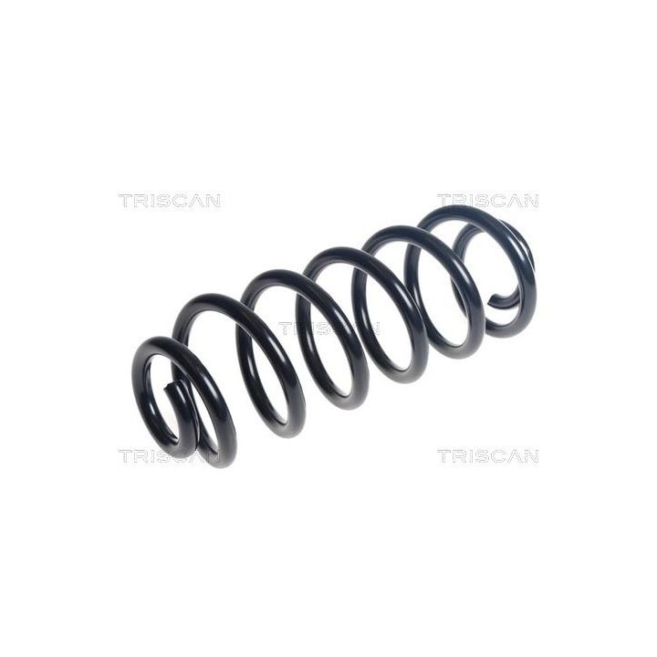 Spyruoklė TRISCAN 8750 43152