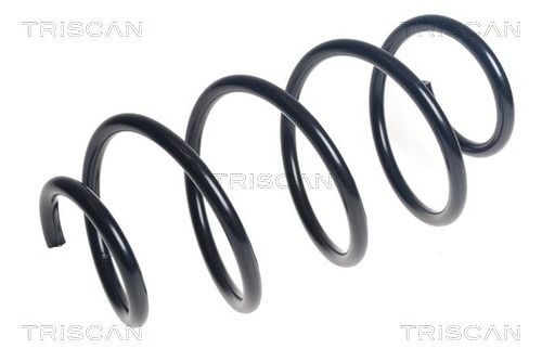 Spyruoklė TRISCAN 8750 43154