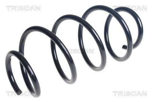 Spyruoklė TRISCAN 8750 43155