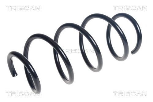 Spyruoklė TRISCAN 8750 43161