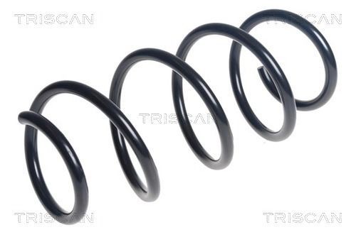Spyruoklė TRISCAN 8750 43163