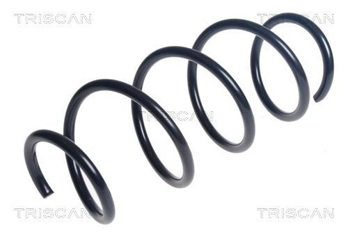 Spyruoklė TRISCAN 8750 43164