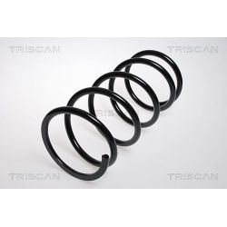 Spyruoklė TRISCAN 8750 4328