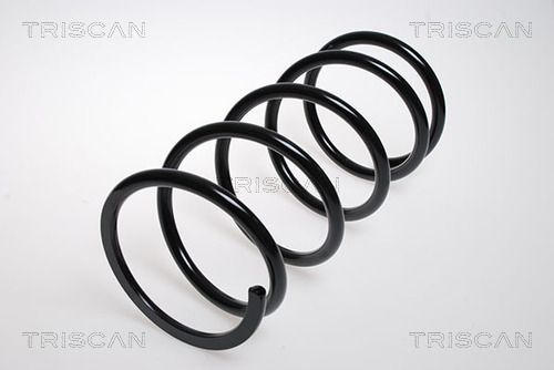 Spyruoklė TRISCAN 8750 4328