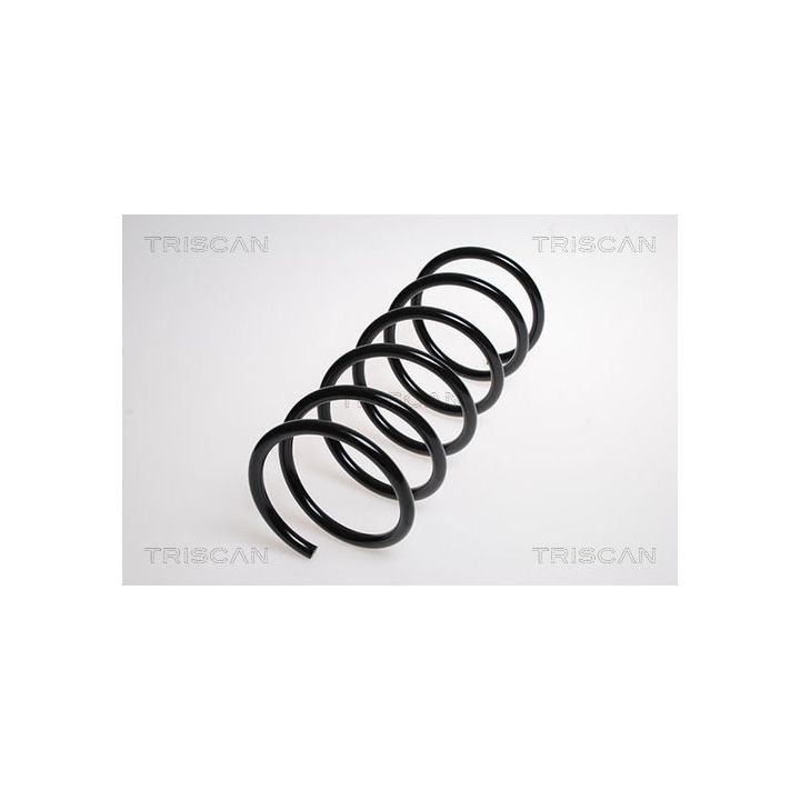 Spyruoklė TRISCAN 8750 4344