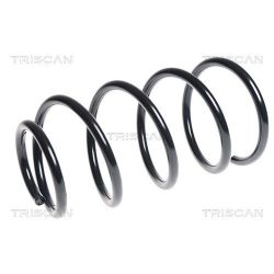 Spyruoklė TRISCAN 8750 4355