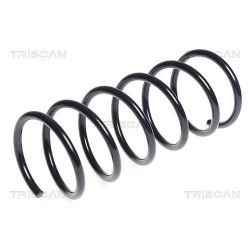 Spyruoklė TRISCAN 8750 4371