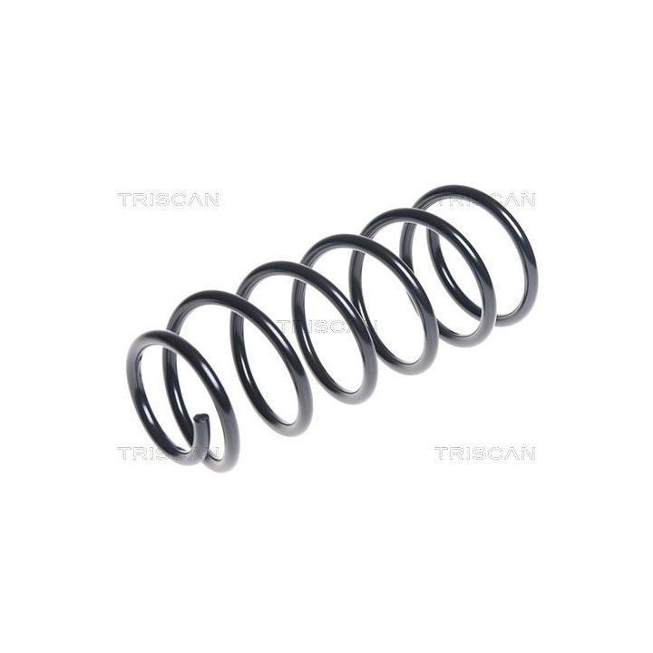 Spyruoklė TRISCAN 8750 4374