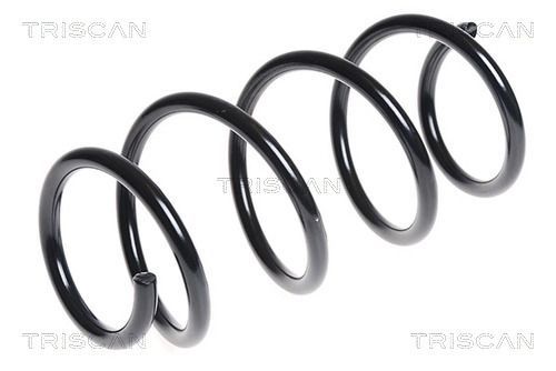Spyruoklė TRISCAN 8750 4380