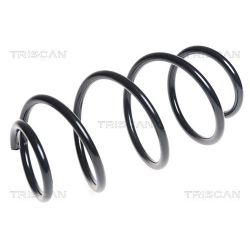 Spyruoklė TRISCAN 8750 4383