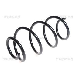 Spyruoklė TRISCAN 8750 4387