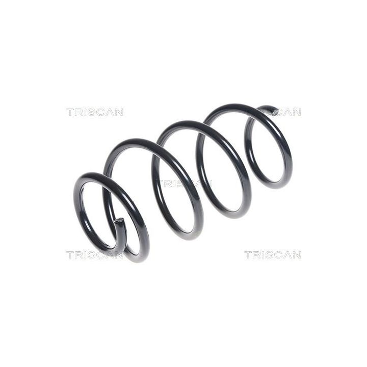 Spyruoklė TRISCAN 8750 4389