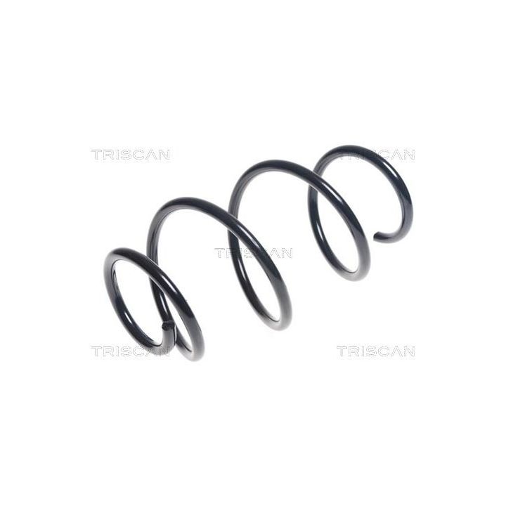 Spyruoklė TRISCAN 8750 4397