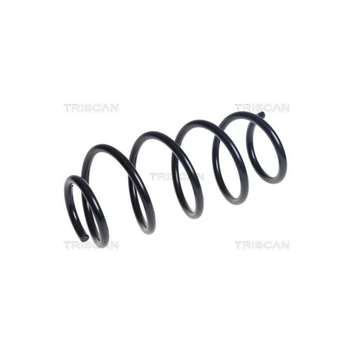 Spyruoklė TRISCAN 8750 50110