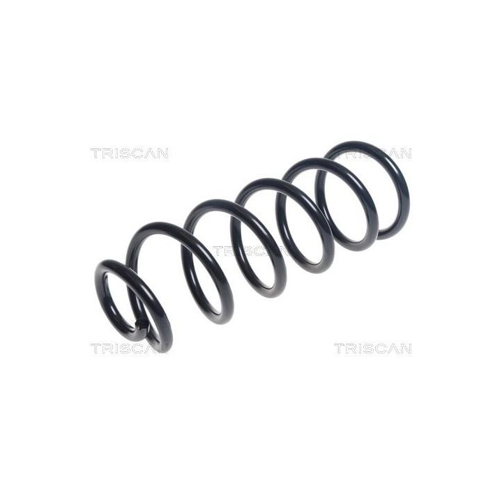 Spyruoklė TRISCAN 8750 50113