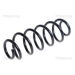 Spyruoklė TRISCAN 8750 50115