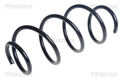 Spyruoklė TRISCAN 8750 50119