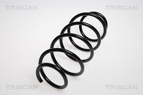 Spyruoklė TRISCAN 8750 5053