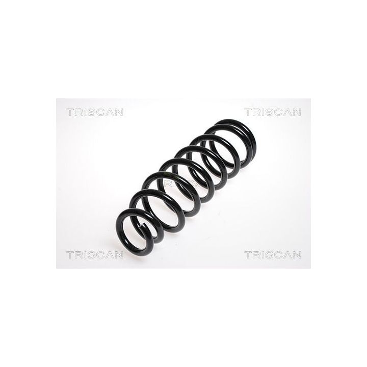 Spyruoklė TRISCAN 8750 5060