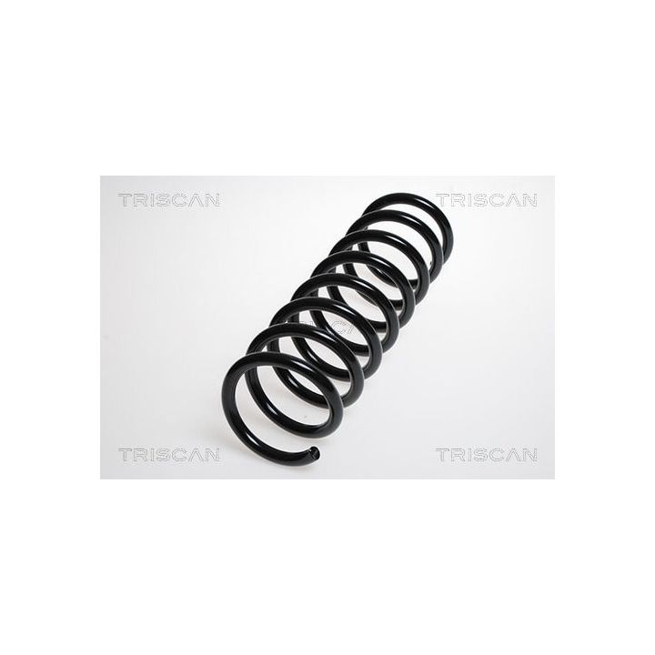 Spyruoklė TRISCAN 8750 5066